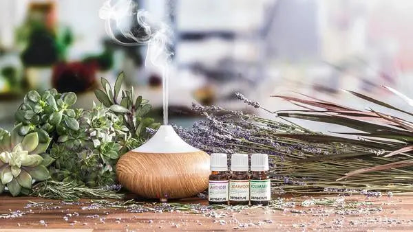 10 bienfaits d'un diffuseur d'huile essentielle !